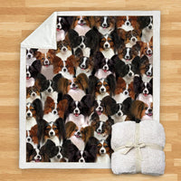 HKM-114067 Modern Printed Flannel Blanket for Pets - Multiple Sizes Available (120x150CM, 150x200CM)
