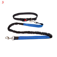 HKM-115027 Elastic Traction Rope Belt for Outdoor Pet Exercise, Adjustable Length and Cushioned Comfort