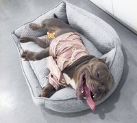 HKM-115347 Cozy Nordic Gray Teddy for Golden Retrievers - Autumn and Winter L-70*56 Suitable for 98 lbs