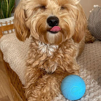 HKM-115667 Cat Toys To Get High And Relieve Boredom Teasing Cat Stick Smart Rolling Ball