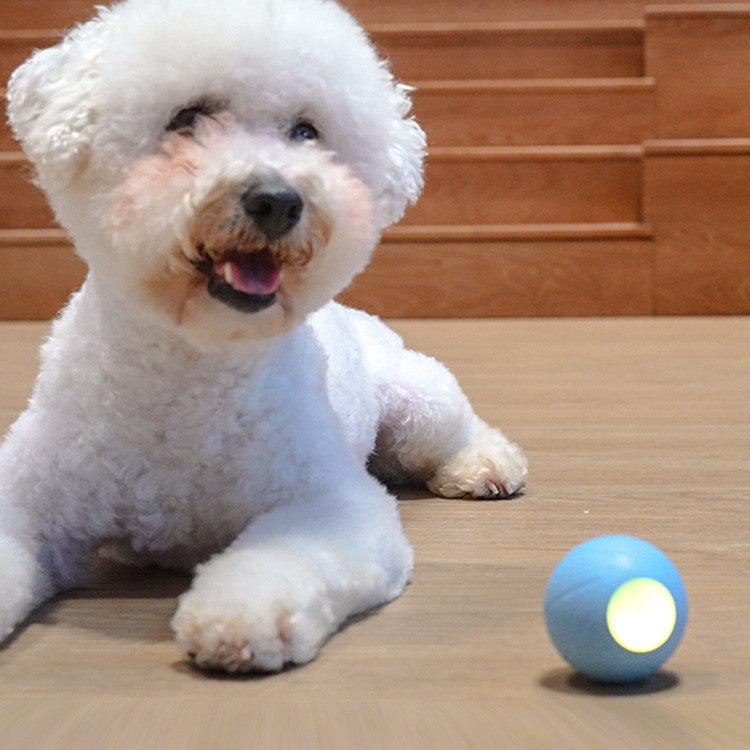 HKM-115667 Cat Toys To Get High And Relieve Boredom Teasing Cat Stick Smart Rolling Ball