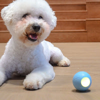 HKM-115667 Cat Toys To Get High And Relieve Boredom Teasing Cat Stick Smart Rolling Ball