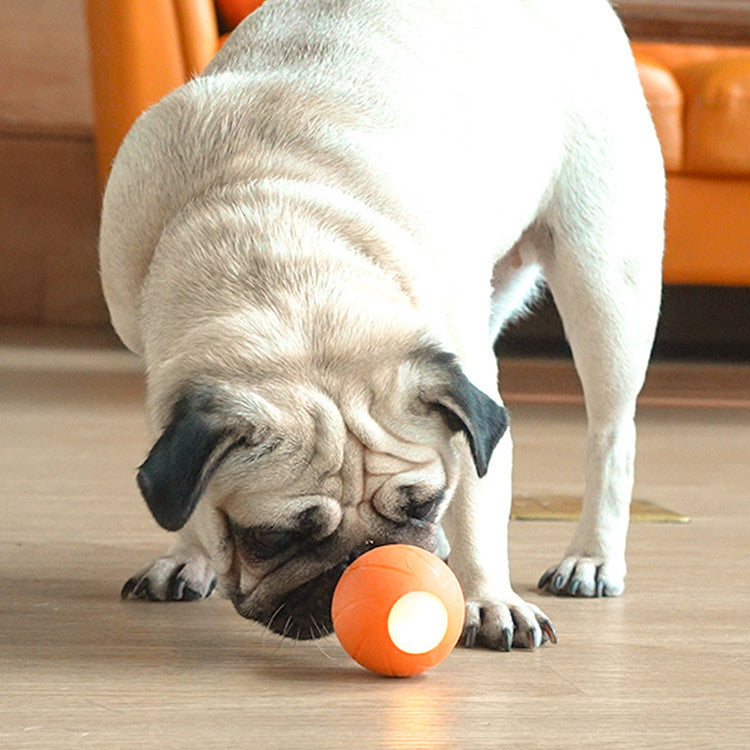 HKM-115667 Cat Toys To Get High And Relieve Boredom Teasing Cat Stick Smart Rolling Ball
