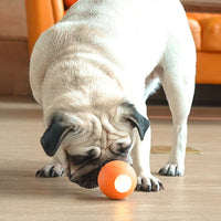 HKM-115667 Cat Toys To Get High And Relieve Boredom Teasing Cat Stick Smart Rolling Ball