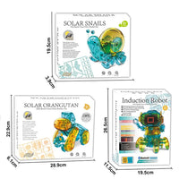 HKM-120915 Solar-Powered DIY Snail Orangutan Robot Toy for Kids Ages 3 and Up