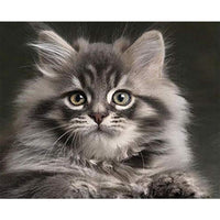 HKM-121811 Frameless Digital Oil Painting of a Cat - Realism Art for Living Room, Bedroom, and More (40x50 cm)