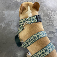 HKM-123155 Adjustable Nylon Dog Leash with Chest Harness for Medium and Small Dogs - 1.5m Traction Rope and Various Sizes