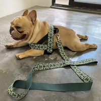 HKM-123155 Adjustable Nylon Dog Leash with Chest Harness for Medium and Small Dogs - 1.5m Traction Rope and Various Sizes