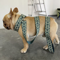 HKM-123155 Adjustable Nylon Dog Leash with Chest Harness for Medium and Small Dogs - 1.5m Traction Rope and Various Sizes