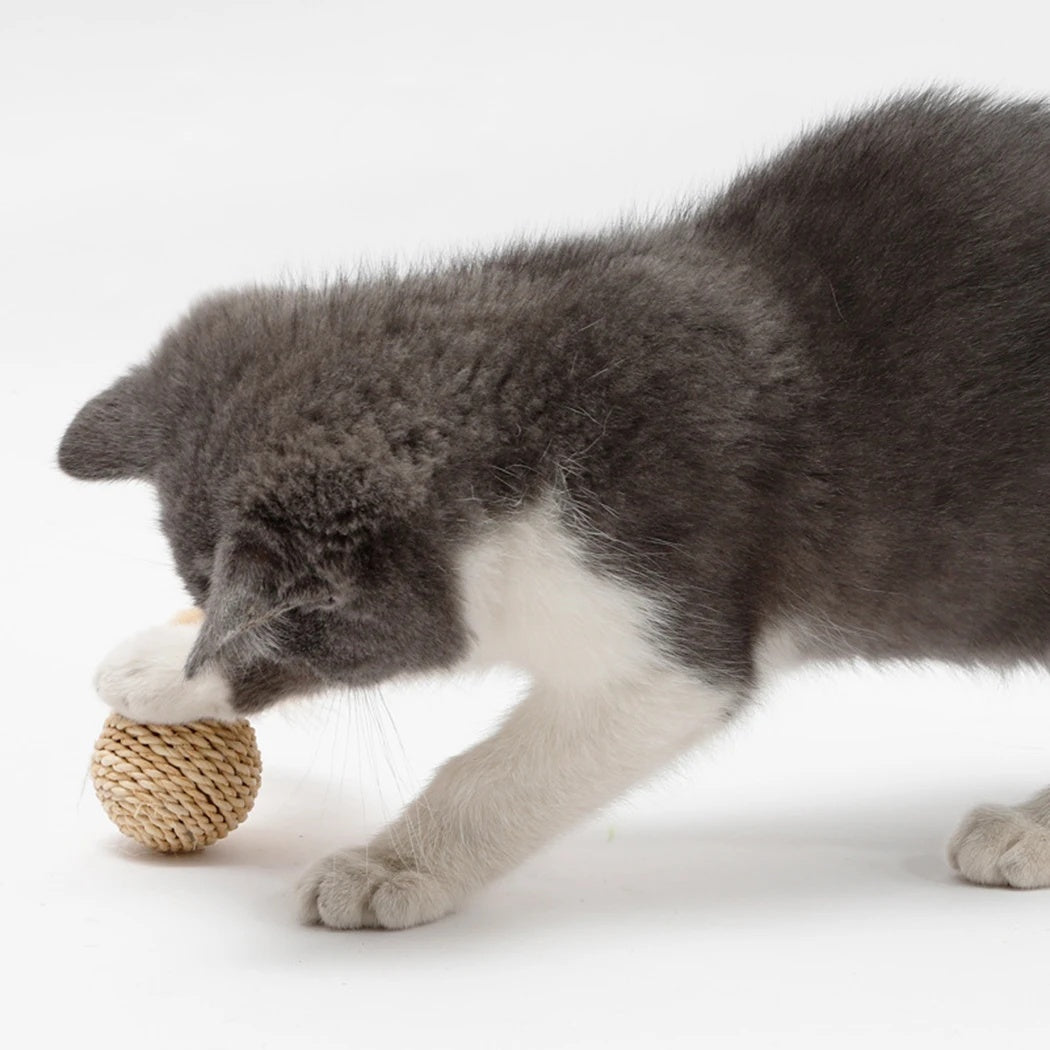 HKM-124627 Interactive 2-Piece Cat Toy Set with Rattan and Faux Feather Balls for Engaging Play