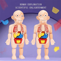 HKM-125267 Human Anatomy Organs Model Educational Toy for Kids - Interactive 3D Assembled Learning Tool