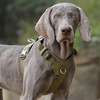 HKM-125459 Durable Reflective Dog Harness and Traction Rope for Secure Outdoor Walking and Training