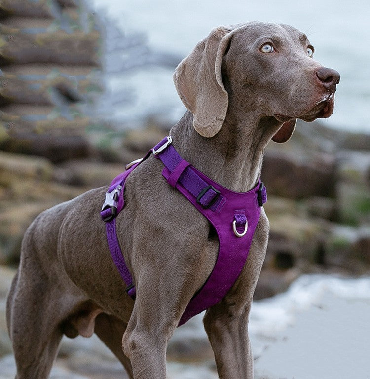 HKM-125459 Durable Reflective Dog Harness and Traction Rope for Secure Outdoor Walking and Training