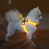 HKM-126611 LED Illuminated Dog Walking Vest with Adjustable Lighting for Small to Large Pets