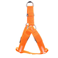 HKM-126611 LED Illuminated Dog Walking Vest with Adjustable Lighting for Small to Large Pets