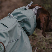 HKM-130515 Warm Waterproof Windproof Outdoor Soft Shell Dog Jacket in Basil Green and Iced Coffee Brown