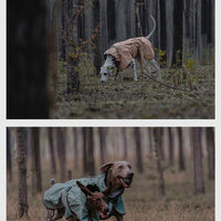 HKM-130515 Warm Waterproof Windproof Outdoor Soft Shell Dog Jacket in Basil Green and Iced Coffee Brown