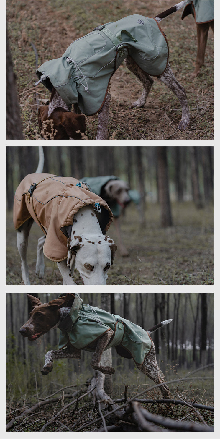 HKM-130515 Warm Waterproof Windproof Outdoor Soft Shell Dog Jacket in Basil Green and Iced Coffee Brown