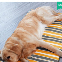 HKM-130643 Waterproof Removable Dog Sleeping Mat with Pillow for All Seasons