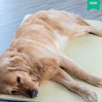 HKM-130643 Waterproof Removable Dog Sleeping Mat with Pillow for All Seasons