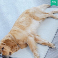HKM-130643 Waterproof Removable Dog Sleeping Mat with Pillow for All Seasons