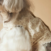 HKM-132179 Sleeveless Cotton Dress for Dogs, Princess Style, Available in Multiple Sizes