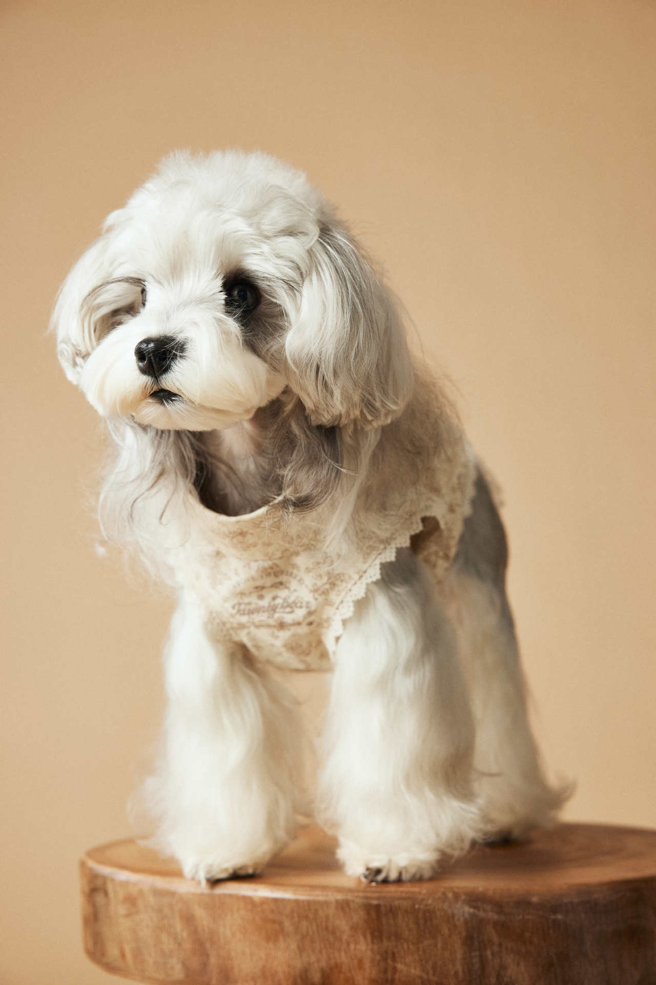 HKM-132179 Sleeveless Cotton Dress for Dogs, Princess Style, Available in Multiple Sizes