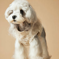 HKM-132179 Sleeveless Cotton Dress for Dogs, Princess Style, Available in Multiple Sizes