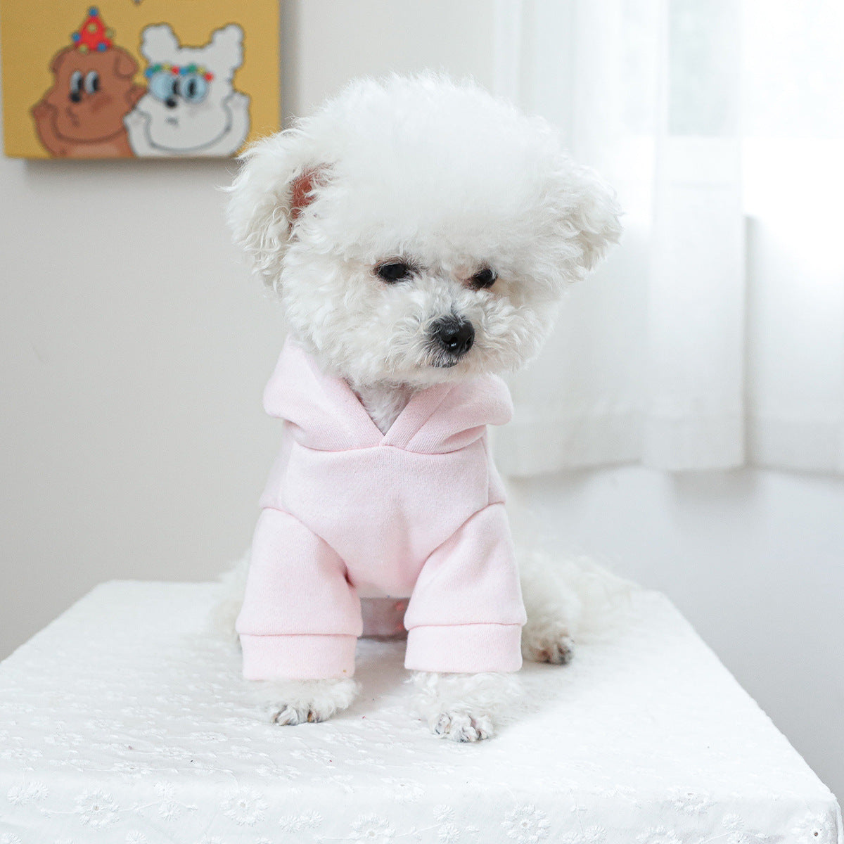 HKM-133587 Little Princess Hooded Sweater for Dogs and Cats - Soft Polyester Fabric, Various Sizes Available