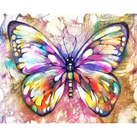 HKM-134099 Digital Oil Painting of Colorful Butterfly on Linen - 40x50CM Unframed Artwork