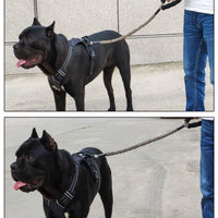 HKM-134291 Elastic Dog Traction Rope with Neoprene Handle and Zinc Alloy Chuck, Suitable for Medium to Large Dogs