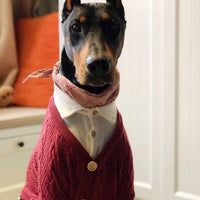 HKM-134931 Casual Cotton Cardigan for Large Dogs - Sizes 8 to 12 - Comfortable & Stylish