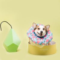 HKM-135187 Waterproof Cartoon Pet Bib - Suitable for Dogs and Cats in Various Sizes (S-3L)