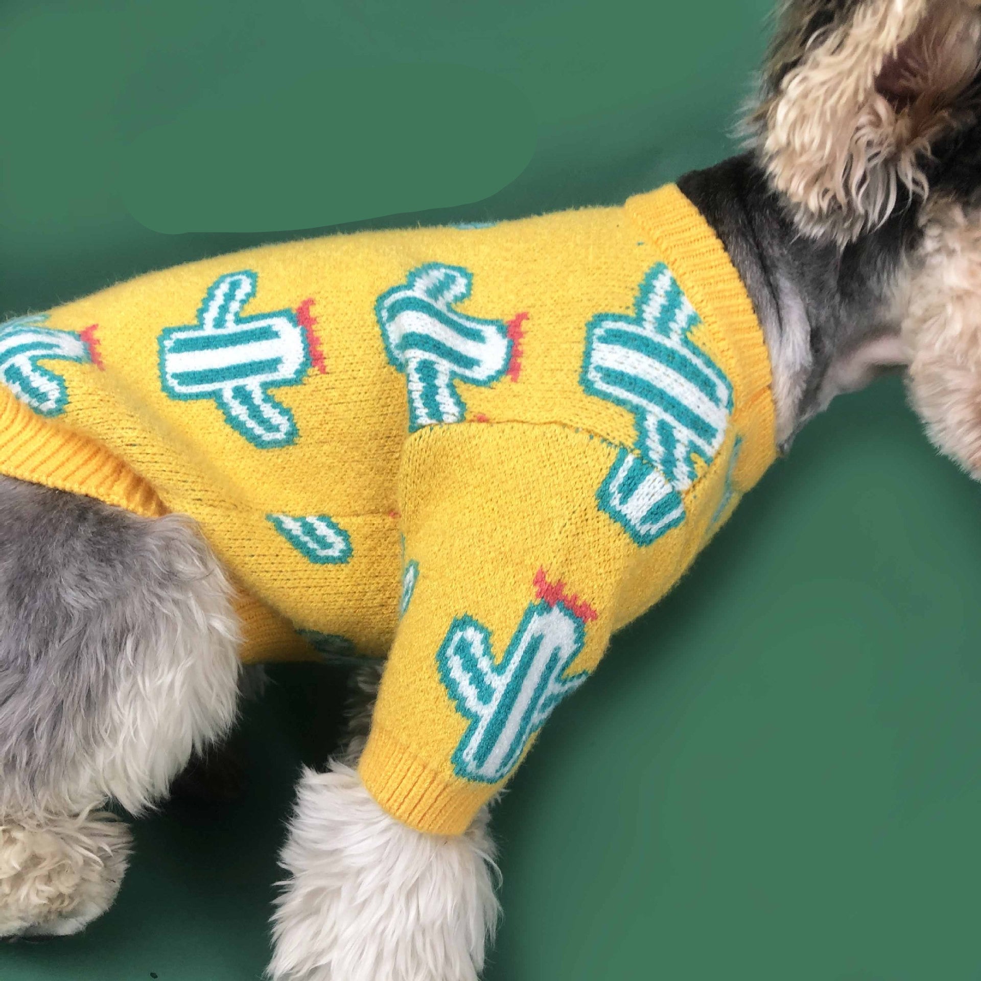 HKM-135891 Cactus Pattern Acrylic Sweater in Purple and Yellow for Pet Fashion