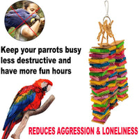 HKM-136723 Wooden Bird Gnawing Toy with Building Blocks and Three Strings