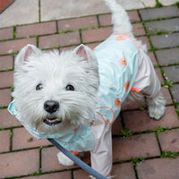 HKM-137107 Pet Four-Legged Reflective Raincoat - Waterproof and Windproof in Pink Squirrel and Blue Hedgehog
