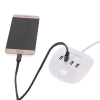 HKM-137683 Universal USB Wall Charger - 220V Input, 5V Output, 2400mA for iPhone, iPad, Camera and More