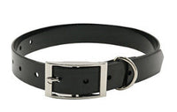 HKM-139475 Factory Wholesale PVC Plastic Waterproof Dog Collar Wear-resistant Dog Collar Out Dog Traction Collar Pet Supplies