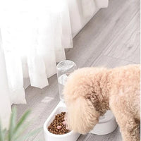 HKM-140435 Double Dog and Cat Bowl with Non-Wet Mouth Design – Dual-Use Feeding Station in Pink, Blue, and White