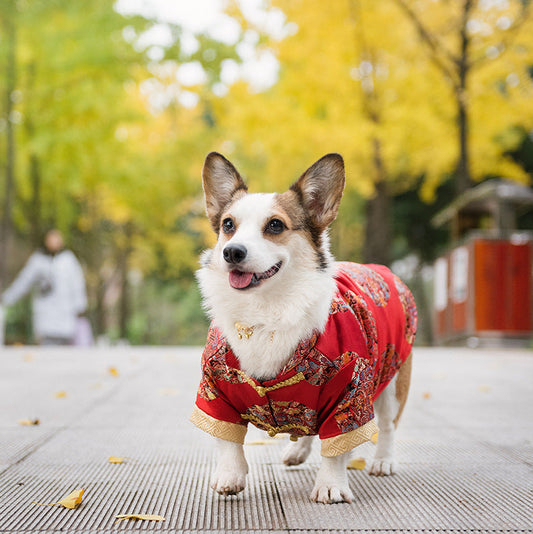 HKM-140691 Dog Tang Dress for Weddings and New Year Celebrations - Cotton Material, Multiple Sizes Available