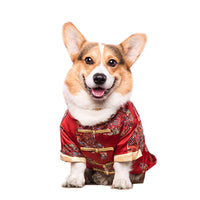 HKM-140691 Dog Tang Dress for Weddings and New Year Celebrations - Cotton Material, Multiple Sizes Available