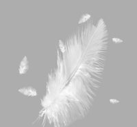 HKM-141907 Goose Feather Cotton Back Pillow - Modern Simplicity Cushion, Various Sizes Available