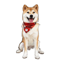 HKM-142483 Colorful Triangular Binder for Dogs - Various Patterns and Sizes Available