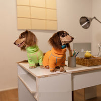 HKM-142867 Casual Waffle Pullover for Dachshunds - Comfortable Four-Legged Pet Clothing for All Seasons