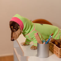 HKM-142867 Casual Waffle Pullover for Dachshunds - Comfortable Four-Legged Pet Clothing for All Seasons