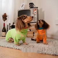 HKM-142867 Casual Waffle Pullover for Dachshunds - Comfortable Four-Legged Pet Clothing for All Seasons