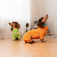 HKM-142867 Casual Waffle Pullover for Dachshunds - Comfortable Four-Legged Pet Clothing for All Seasons