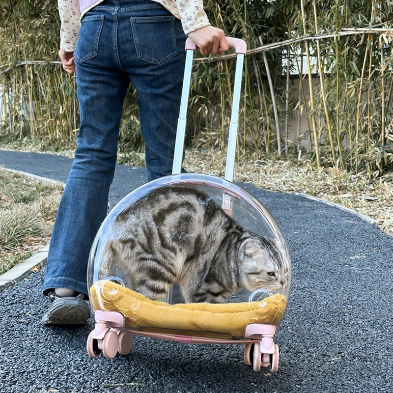 HKM-147027 Transparent PC Pet Trolley Cat Bag with Reinforced Design, 10L Capacity