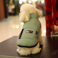 HKM-148307 Cotton Teddy Vest for Dogs - Warm, Thick British Style in Grey and Orange, Sizes S to 2XL