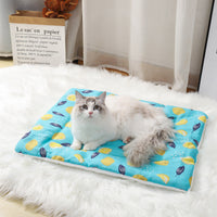 HKM-149523 Thick Cotton Linen Lamb Wool Blanket Kennel Dog Mat Pet Supplies